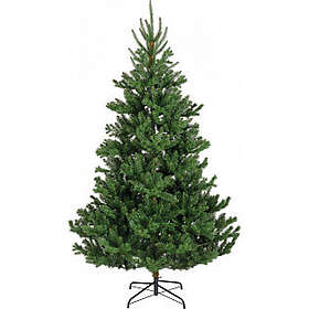 Everlands Enne Forest Jade 210cm