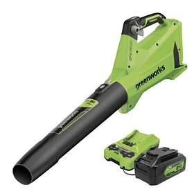 Greenworks BL24L411-01 (1x4.0Ah)