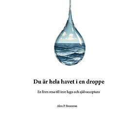 Du är hela havet i en droppe: En liten resa till inre lugn och självacceptans