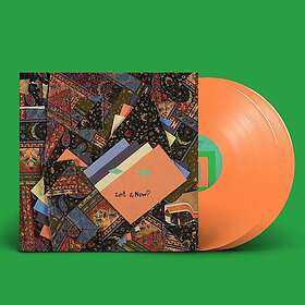 Animal Collective Isn't It Now? LP/Vinyl