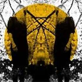 Austra Feel It Break LP/Vinyl