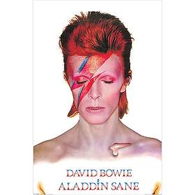 David Bowie Aladdin Sane Plakat