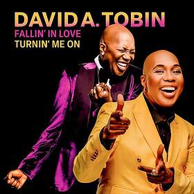 David A. Tobin Fallin' In Love Turnin' Me On LP/Vinyl