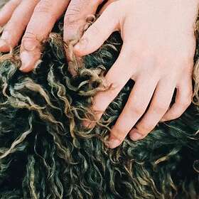 Divorce Heady Metal LP/Vinyl