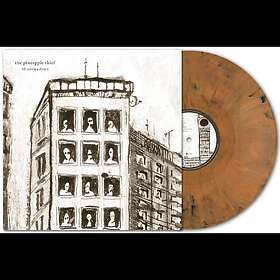 The Pineapple Thief 10 Stories Down LP/Vinyl