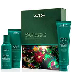 Aveda Botanical Repair Strengthening Essentials