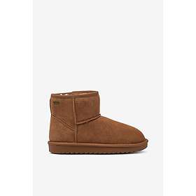 Duffy 2046947 (Dam)