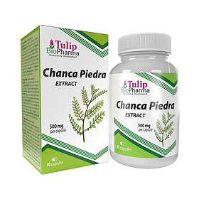Tulip BioPharma Chanca Piedra Extract 500mg 90 Kapslar