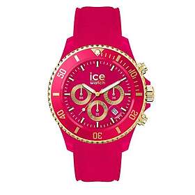 ICE Watch 021596