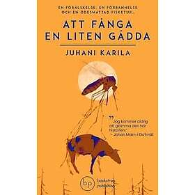 Att fånga en liten gädda