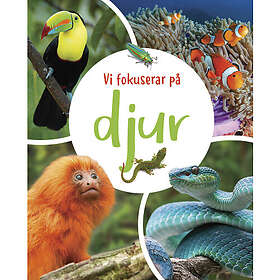 Vi fokuserar på. Djur