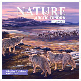 Nature: Arctic Tundra (Exp.)