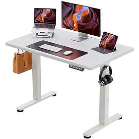 ErGear Electric Standing Desk Height Adjustable 100x60cm