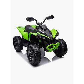 Can-Am Renegade