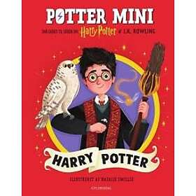 Potter Mini Harry Potter