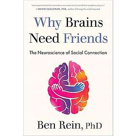 Why Brains Need Friends: The Neuroscience of Social Connection