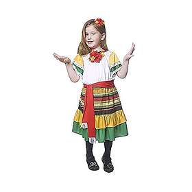 Dress Up America 484-L Mexican Dancer Costume