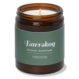 Torplyktan Barrskog Doftljus 150g