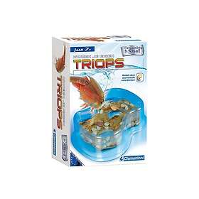 Clementoni Science & Game Triops Grow