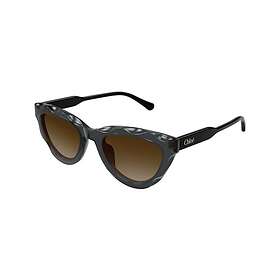Chloé CH0294S