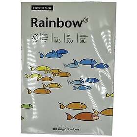 Rainbow Universal Printer Paper A3 80g 500 st Grey