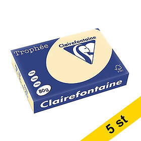 Clairefontaine Everyday Paper A4 80g 5x500 ark