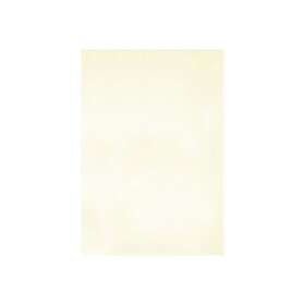 Blake Premium Business Paper A4 120g 500 st