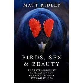 Birds, Sex and Beauty The Extraordinary Implications of Charles Darwin’s Strange