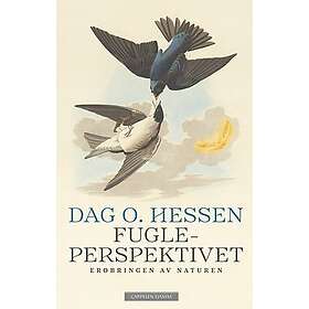 Fugleperspektivet erobringen av naturen