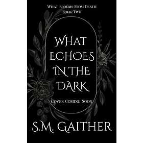 What Echoes in the Dark