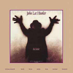 John Lee Hooker Healer LP/Vinyl