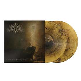 A Wake In Providence I Write To You, My Darling Decay LP/Vinyl