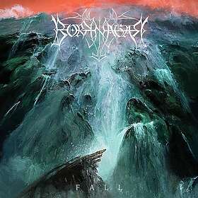 Borknagar Fall CD