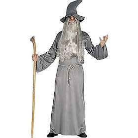 Fiestas Guirca 84016 Mighty Wizard Costume (Grey Tunic with Hat)