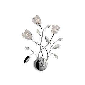 Firstlight Capsule Cindy (3L)