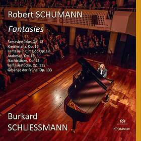 Burkard Schliessmann Schumann: Fantasies CD
