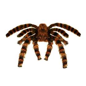 Widmann 8264T Fågelspindel Dekoration Mask