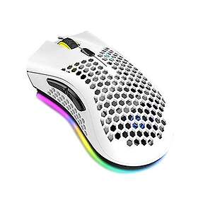 Fesjoy Souris Rechargeable Sans Fil avec Éclairage RVB
