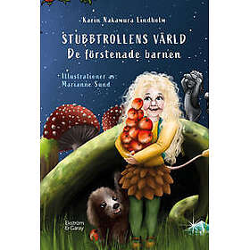 Stubbtrollens värld : de förstenade barnen