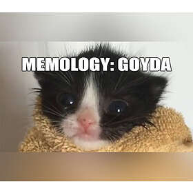 MEMOLOGY: GOYDA (PC)