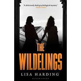 The Wildelings 'A deliciously dark psychological mystery' Irish Times