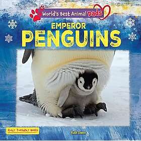 Emperor Penguins