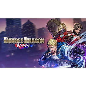 Double Dragon Revive (PC)