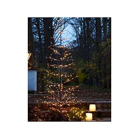 Sirius Isaac 160cm Brun