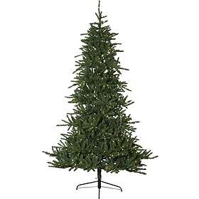 Star Trading Minnesota Grön 250cm 800 LEDs