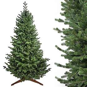 Evergreen Tree