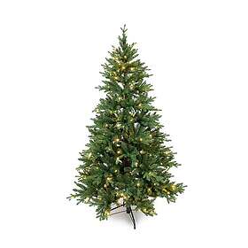 Mr Plant Tinde 180cm 240 LEDs