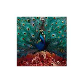 Opeth Sorceress CD