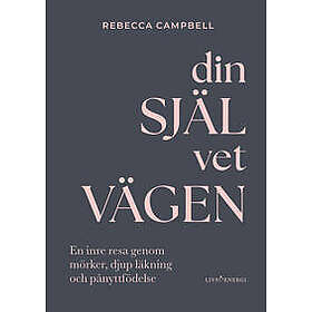 Din själ vet vägen : en inre resa genom mörker, djup läkning och pånyttfödelse