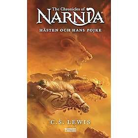 Hästen och hans pojke